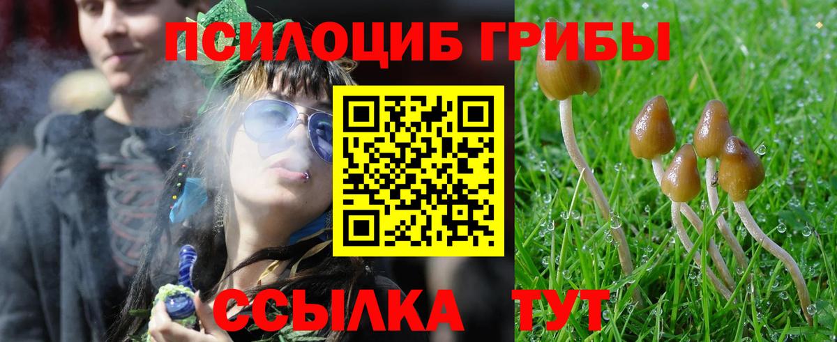 Галлюциногенные грибы ЛСД  Вход с VPN  Ставрополь 