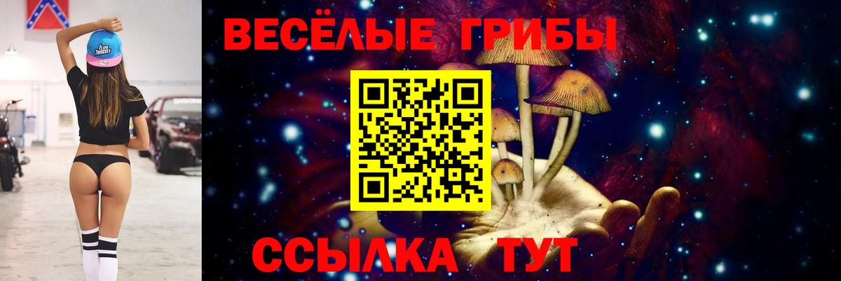Галлюциногенные грибы мухоморы Ставрополь