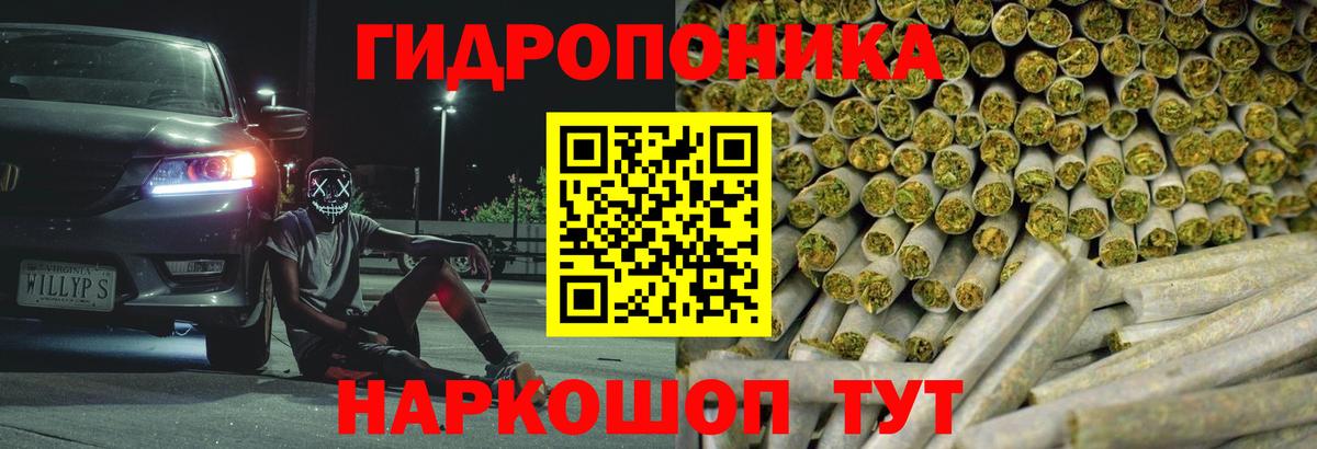 Бошки марихуана Bruce Banner Ставрополь